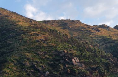 Yukarı Korsika 'da yangın üstüne yangın 