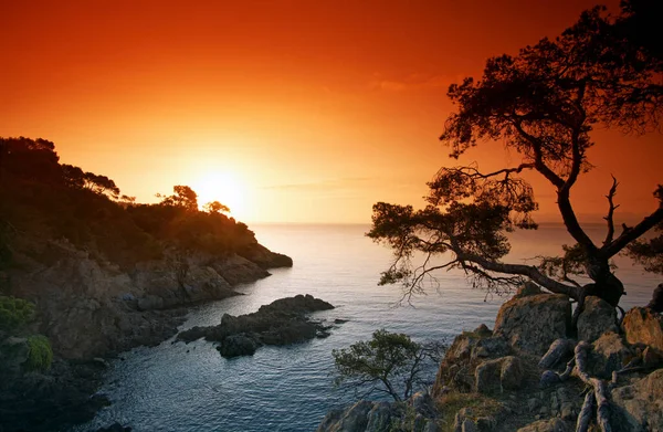  Fransız Rivierası 'ndaki Layet deresi                              