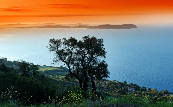 Fransız Riviera sahilinde Giens yarımadası manzarası