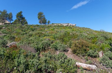 Calanques Ulusal Parkı 'nda yürüyüş yolu