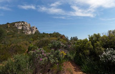 Calanques Ulusal Parkı 'ndaki uçurumlarda yürüyüş parkurunda 