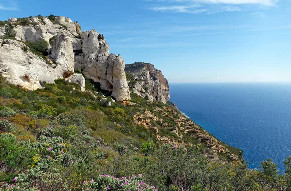 Scogliere Del Parco Nazionale Calanques Nella Costa Del Var — Foto Stock