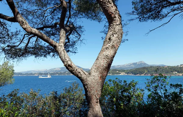 Pradet Kust Aan Franse Rivièra — Stockfoto