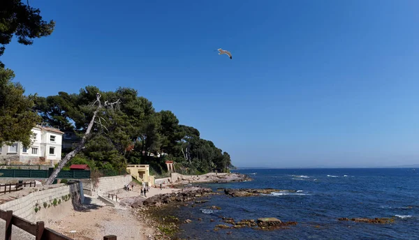 Fransız Rivierası 'ndaki Carqueiranne plajı