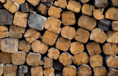 Büyük testere kütükleri, kütüklerden bir duvar oluşturan büyük bir yığın halinde istiflenir..