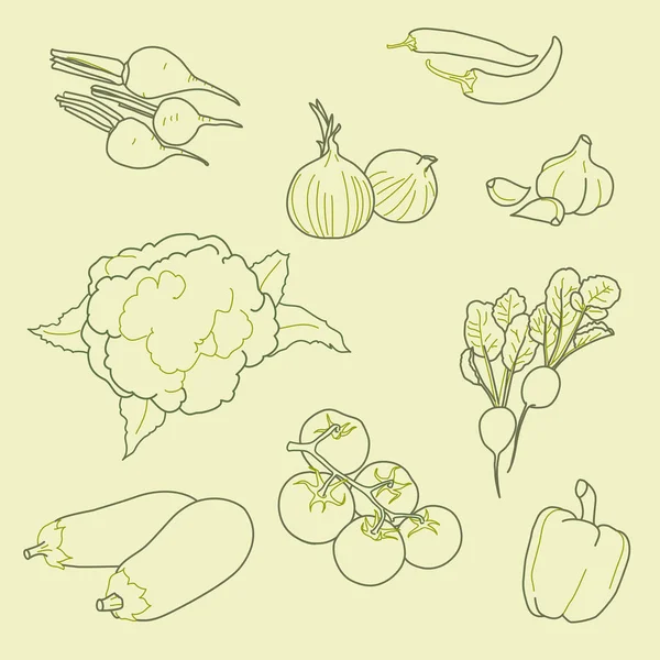 Set of hand-drawn vegetables, organic, healthy food, vector — Stock Vector