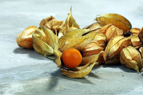 Physalis Fresco Sobre Fundo Cinzento Fruto Pequeno Doce Cru — Fotografia de Stock