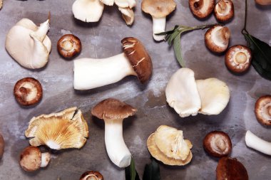 gri masada ham mantar çeşididir. İstiridye ve diğer taze mantar.