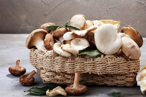 灰桌上的生蘑菇品种繁多 牡蛎和其他新鲜蘑菇 — 图库照片