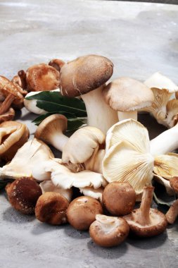 gri masada ham mantar çeşididir. İstiridye ve diğer taze mantar.