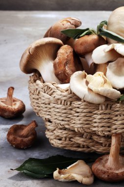 gri masada ham mantar çeşididir. İstiridye ve diğer taze mantar.