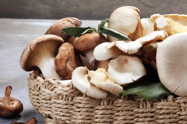 gri masada ham mantar çeşididir. İstiridye ve diğer taze mantar.