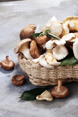 gri masada ham mantar çeşididir. İstiridye ve diğer taze mantar.