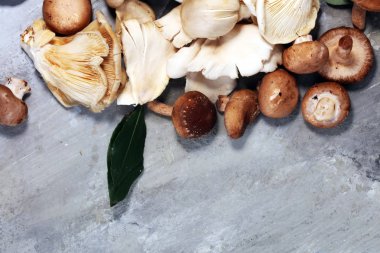 gri masada ham mantar çeşididir. İstiridye ve diğer taze mantar.