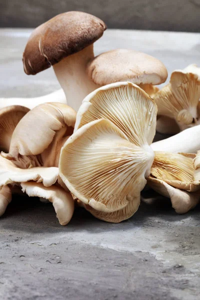 Variedad Setas Crudas Sobre Mesa Gris Ostras Otros Hongos Frescos — Foto de Stock