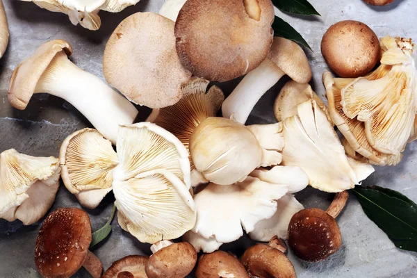 stock image variety of raw mushrooms on grey table. oyster and other fresh mushrooms.