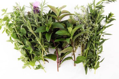 Bahçe taze otlar demet. Organik doğal bitki.