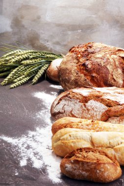 Ekmek ve ekmek çeşitleri gemide yukarıdan alır. Mutfak veya fırın poster tasarımı.