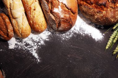 Ekmek ve ekmek çeşitleri gemide yukarıdan alır. Mutfak veya fırın poster tasarımı.