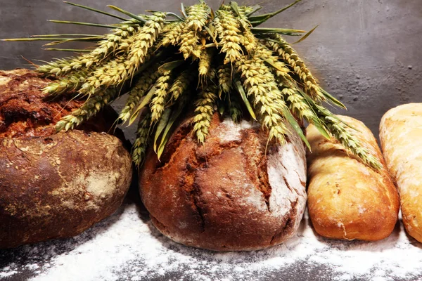 Ekmek ve ekmek çeşitleri gemide yukarıdan alır. Mutfak veya fırın poster tasarımı.