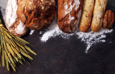 Ekmek ve ekmek çeşitleri gemide yukarıdan alır. Mutfak veya fırın poster tasarımı.