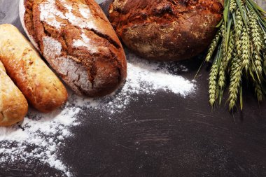 Ekmek ve ekmek çeşitleri gemide yukarıdan alır. Mutfak veya fırın poster tasarımı.