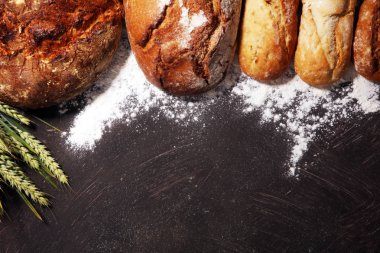 Ekmek ve ekmek çeşitleri gemide yukarıdan alır. Mutfak veya fırın poster tasarımı.