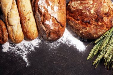 Ekmek ve ekmek çeşitleri gemide yukarıdan alır. Mutfak veya fırın poster tasarımı.