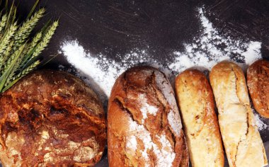 Ekmek ve ekmek çeşitleri gemide yukarıdan alır. Mutfak veya fırın poster tasarımı.