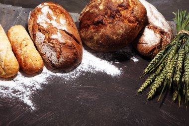 Ekmek ve ekmek çeşitleri gemide yukarıdan alır. Mutfak veya fırın poster tasarımı.