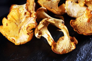 Mantar Cantharellus cibarius masada. Ham yabani mantar chanterelles. Yabani mantar ile kompozisyon.