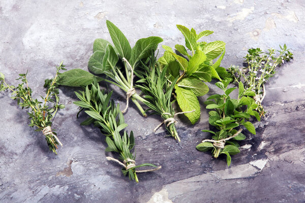 bunch of garden fresh herbs on grey board. organic natural herb.