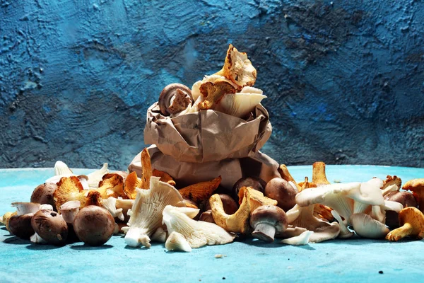 Variedade Cogumelos Crus Mesa Com Cogumelos Ostra Champinhons — Fotografia de Stock