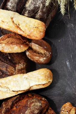 Ekmek ve ekmek çeşitleri gemide yukarıdan alır. Mutfak veya fırın poster tasarımı.