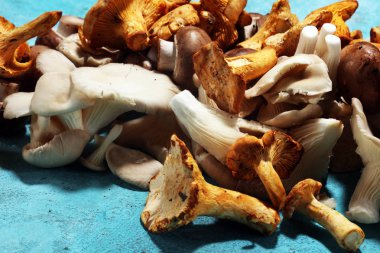 İstiridye mantar ve petrol masada ham mantar çeşitli