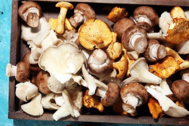 Hasır tepsi ile değişiklik tablo üzerinde ham mantar Cantharellus cibarius mantar ile