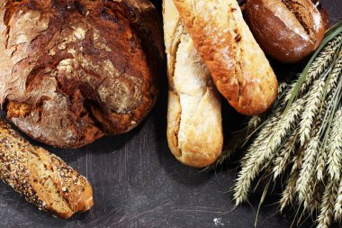 Ekmek ve ekmek çeşitleri gemide yukarıdan alır. Mutfak veya fırın poster tasarımı.