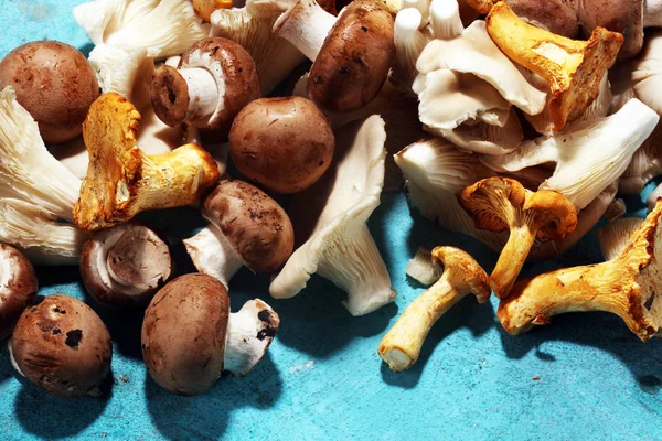 Champignons 테이블에 버섯의 — 스톡 사진