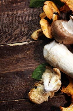 Mantar Cantharellus cibarius masada. Ham yabani mantar chanterelles. Yabani mantar ile kompozisyon.