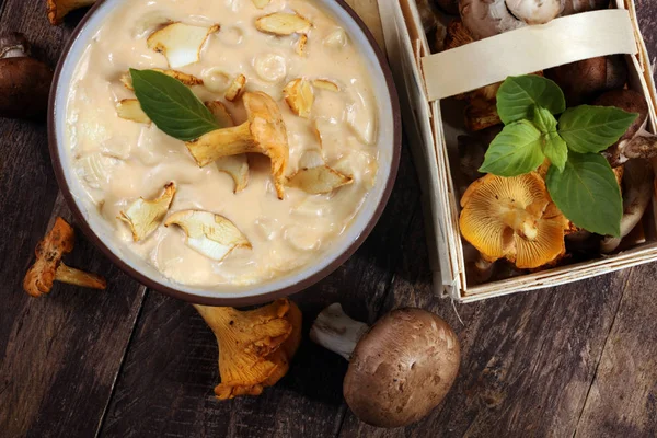 mushroom soup and variety of raw mushrooms on wooden table. oyster and other fresh mushrooms