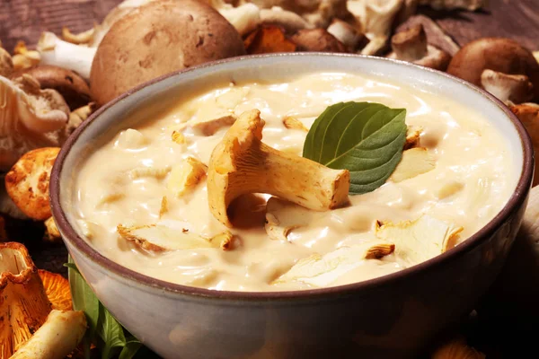 Mushroom soup and variety of raw mushrooms on wooden table. oyster and other fresh mushrooms — Stock Image Mushroom Soup Variety Raw Mushrooms Wooden Table Oyster Other Fresh Stock Image