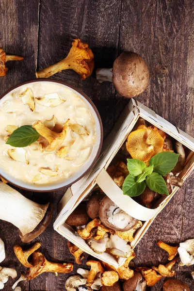 Mushroom soup and variety of raw mushrooms on wooden table. oyster and other fresh mushrooms — Stock Image Mushroom Soup Variety Raw Mushrooms Wooden Table Oyster Other Fresh Stock Image