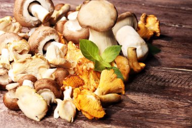 Mantar Cantharellus cibarius masada. Ham yabani mantar chanterelles. Yabani mantar ile kompozisyon.