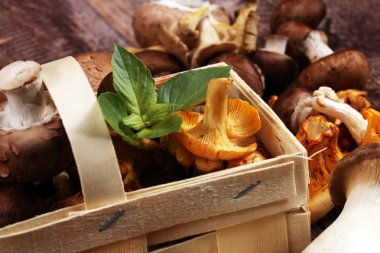 ahşap masa üzerinde ham mantar çeşididir. İstiridye ve diğer taze mantar