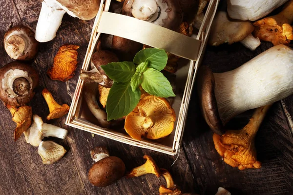 木桌上的生蘑菇品种繁多 牡蛎和其他新鲜蘑菇 — 图库照片