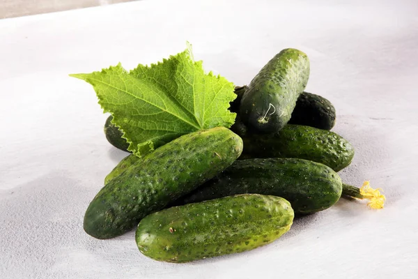 Fresh Green Cucumber Leaf Flower Natural Vegetables Organic Food — Stock Photo, Image