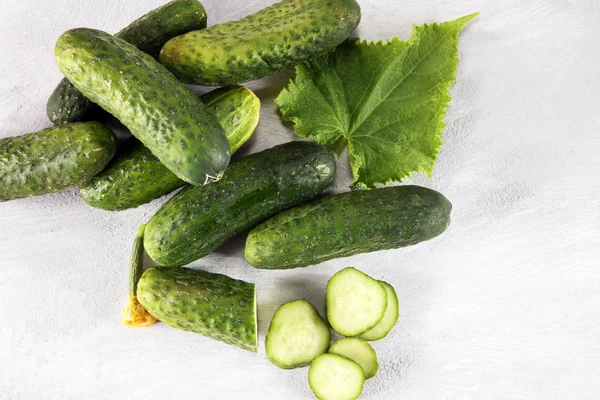Fresh Green Cucumber Leaf Flower Natural Vegetables Organic Food — Stock Photo, Image