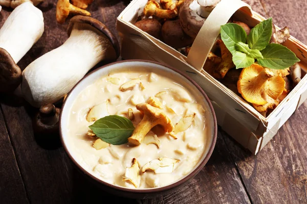 Mushroom soup and variety of raw mushrooms on wooden table. oyster and other fresh mushrooms — Stock Image Mushroom Soup Variety Raw Mushrooms Wooden Table Oyster Other Fresh Stock Picture