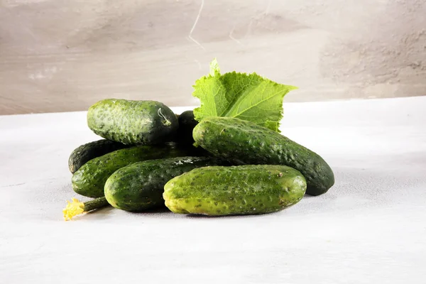 Fresh green cucumber with leaf and flower natural vegetables organic food.