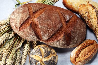 Ekmek ve ekmek çeşitleri gemide yukarıdan alır. Mutfak veya fırın poster tasarımı.